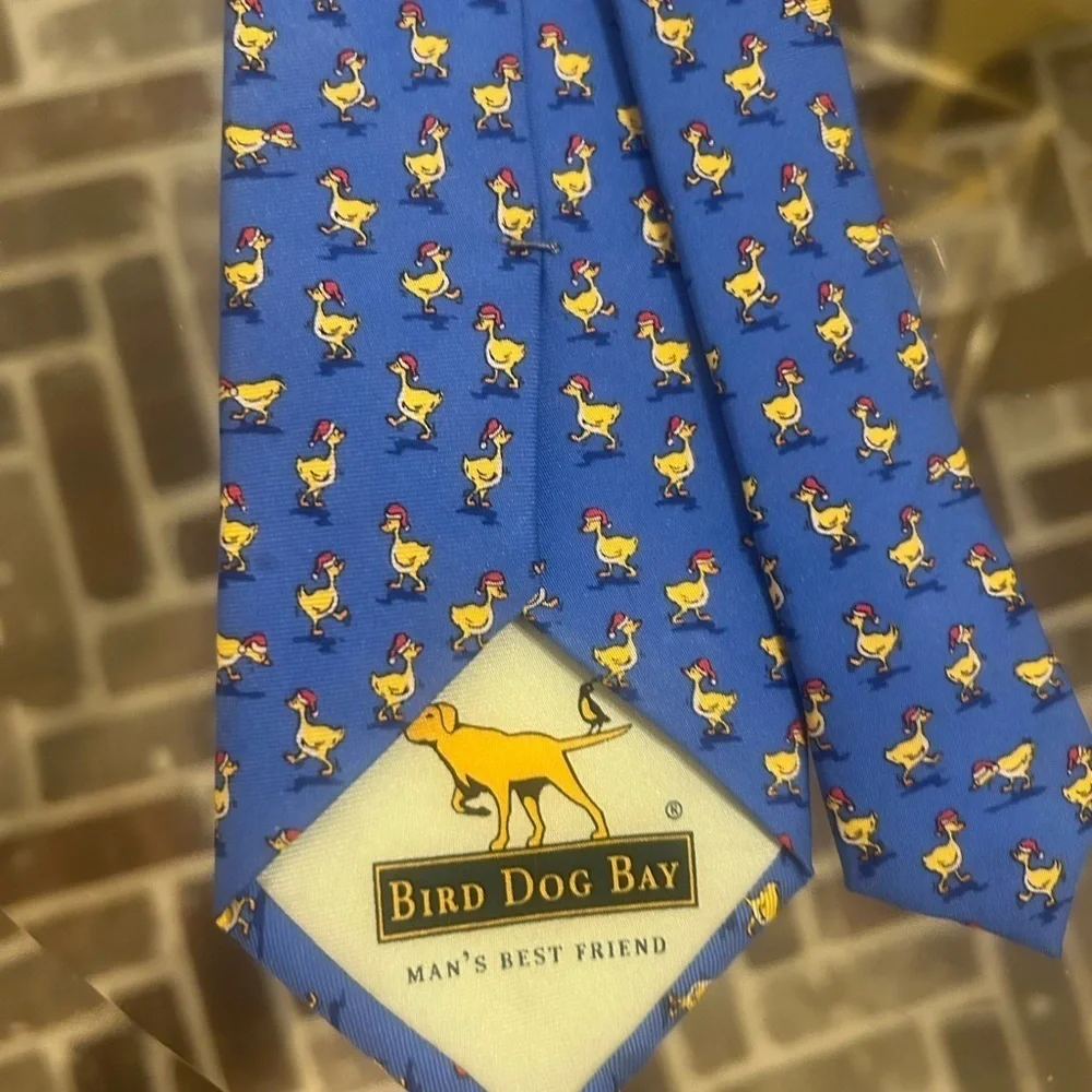 Bird Dog Bay Boy’s Tie, Christmas  Blue With Duck Santa Hat 100% Silk